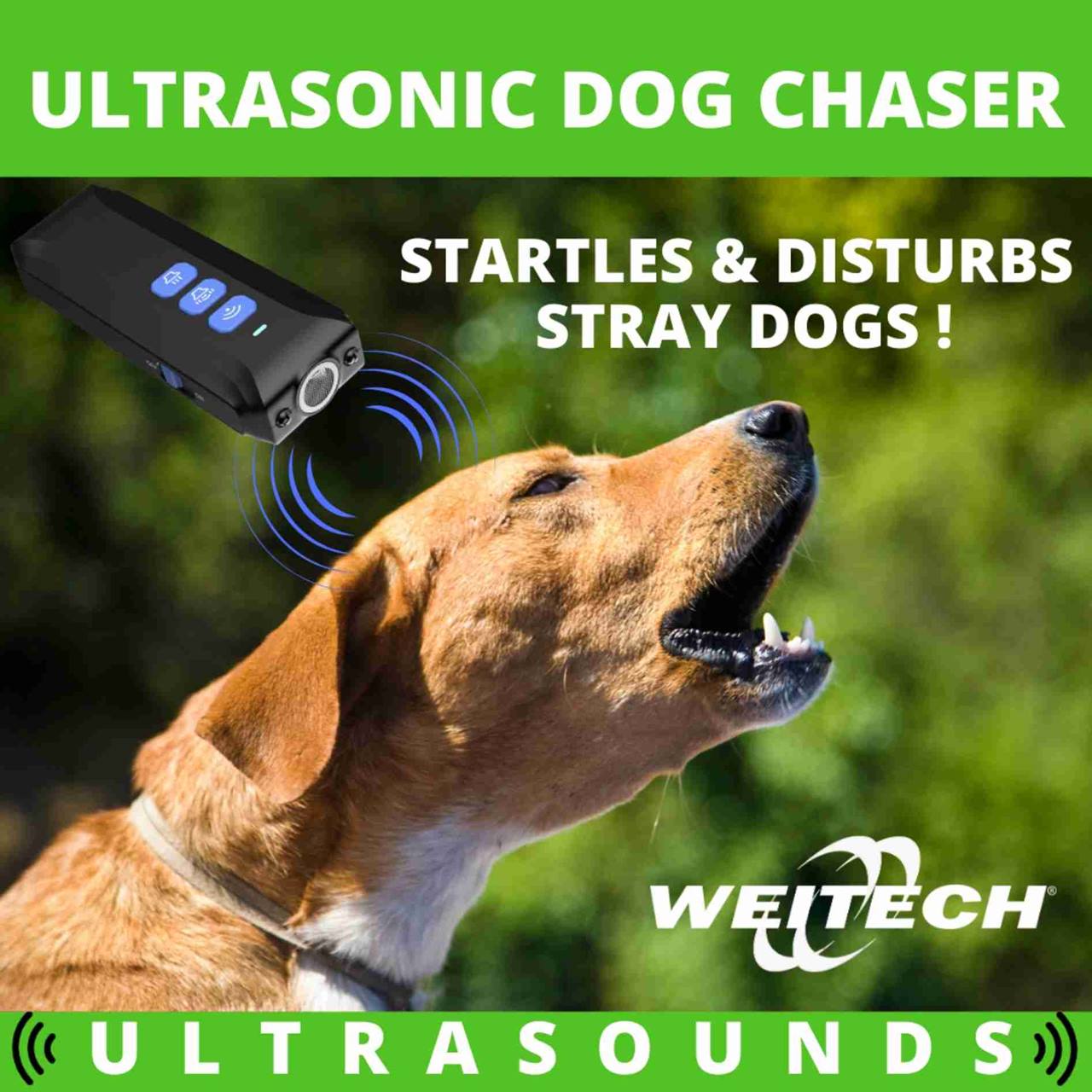 Ultrasonic dog chaser
